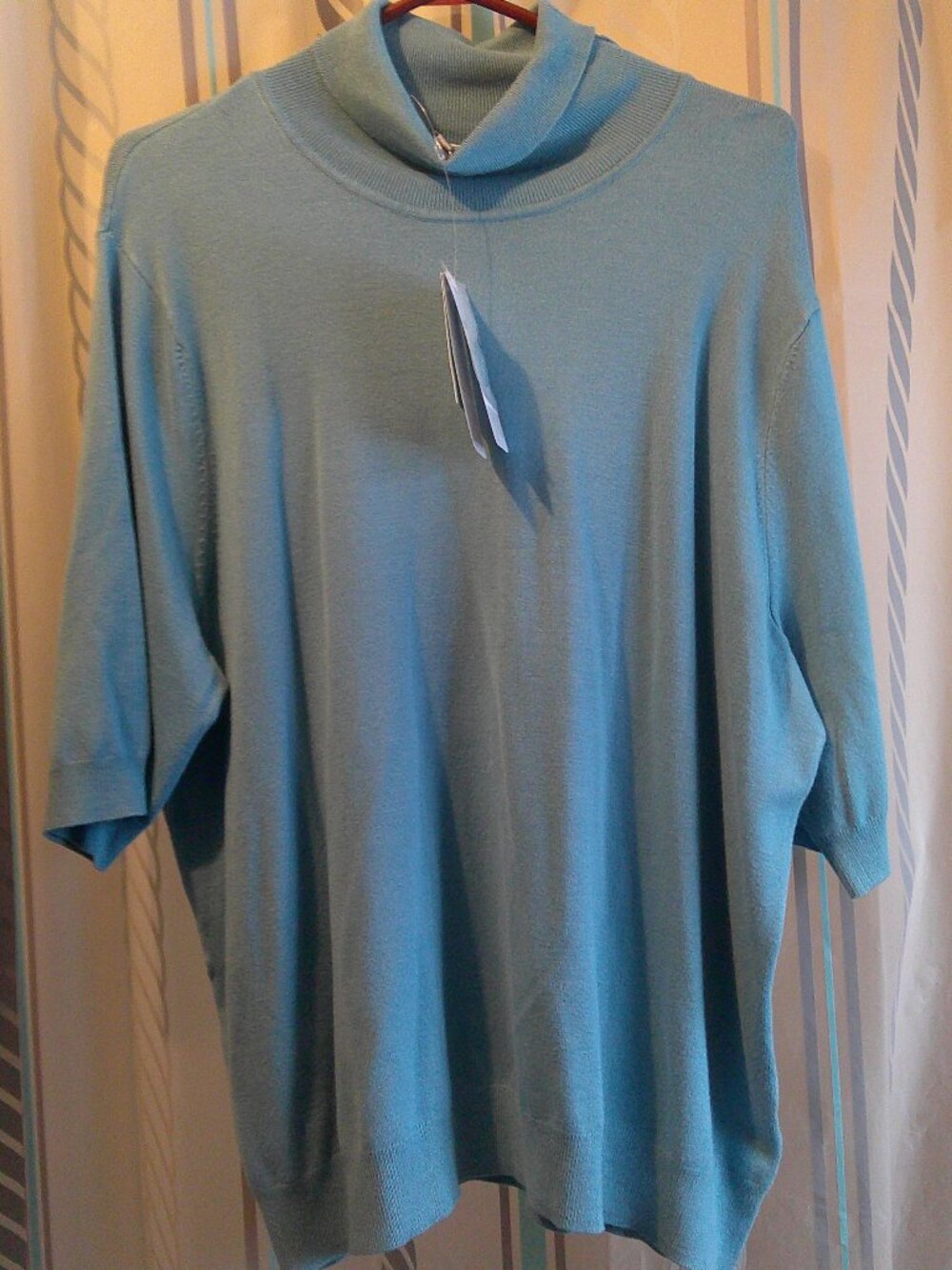 NWT "Northern Reflections" Turtleneck Sweater Short Sleeves n Teal Woman XXL